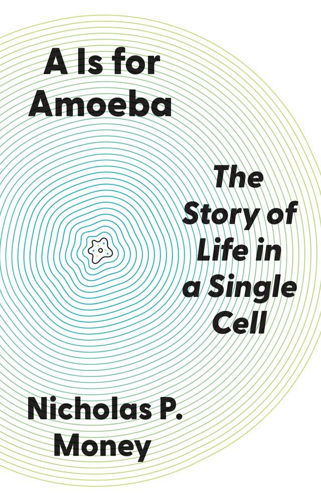 A Is for Amoeba by Nicholas P. Money