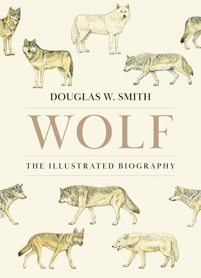 Wolf by Douglas W. Smith
