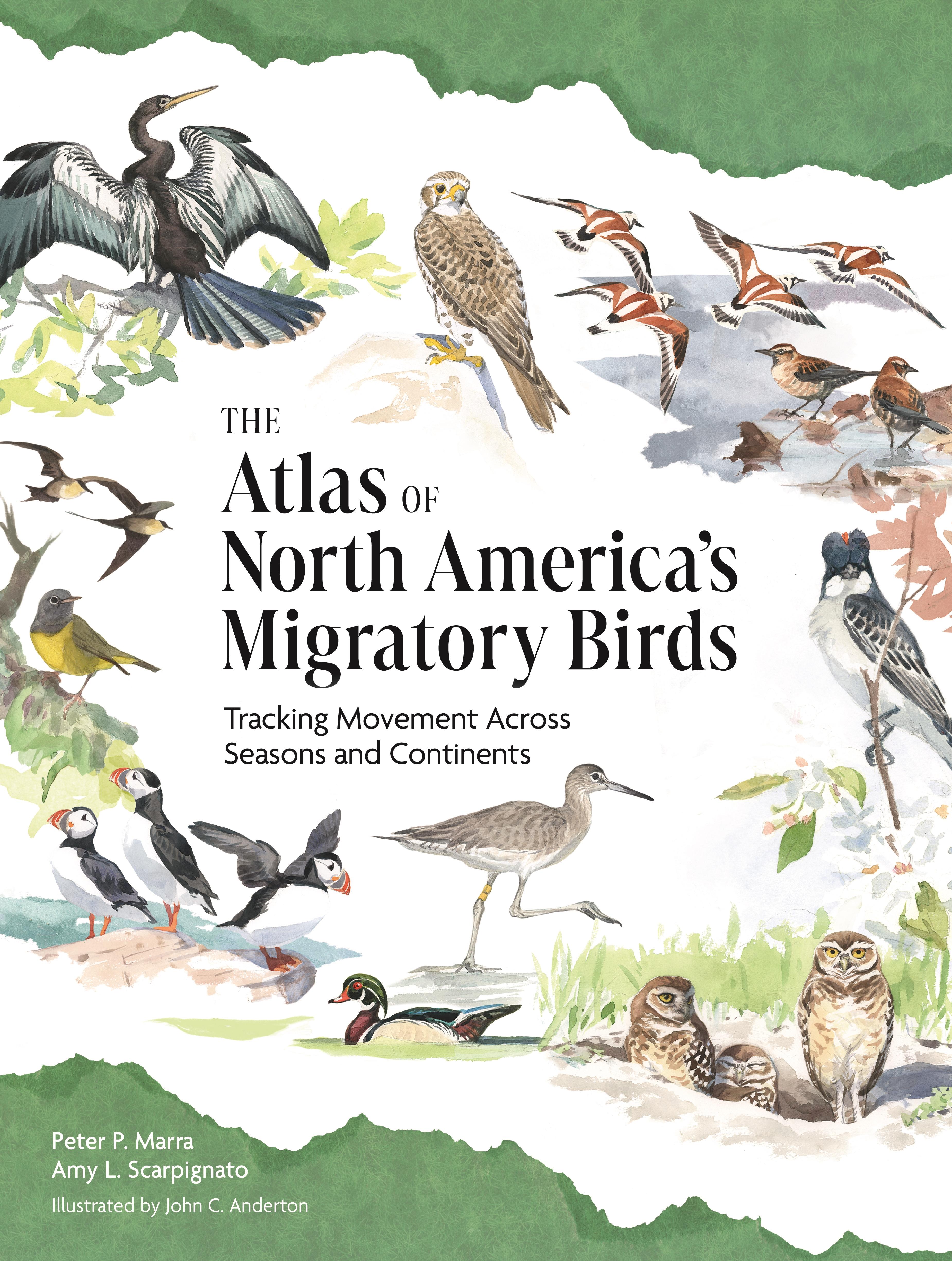 The Atlas of North America’s Migratory Birds