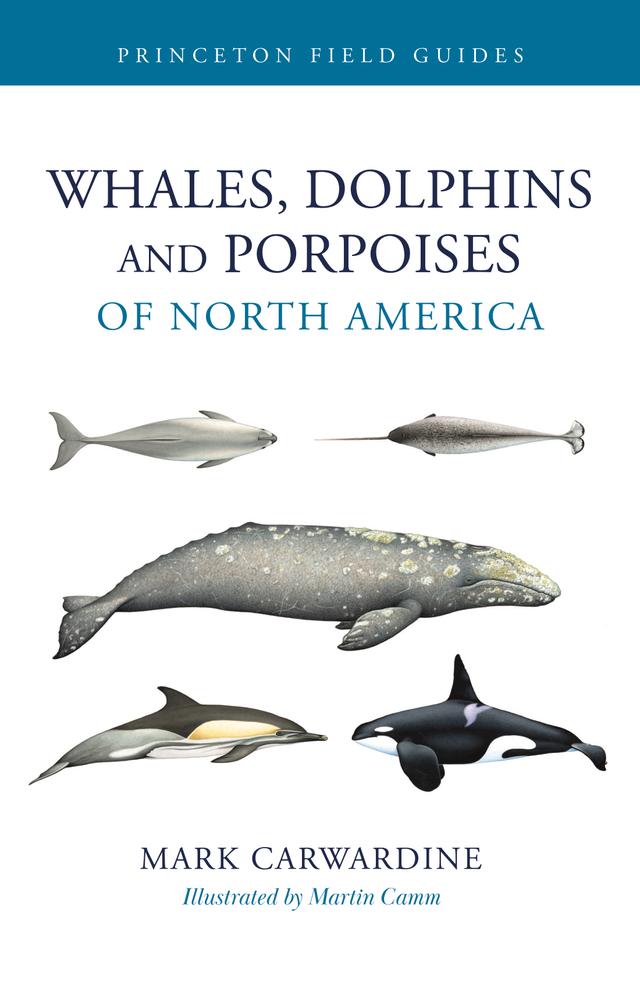 Whales, Dolphins, and Porpoises of North America by Mark Carwardine, Martin Camm