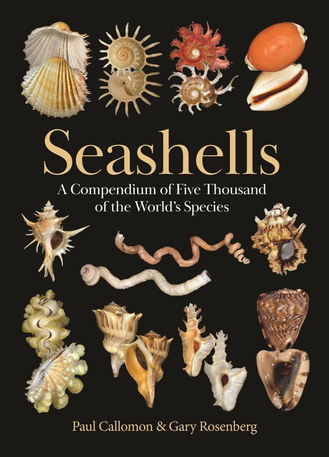 Seashells by Gary Rosenberg, Paul Callomon