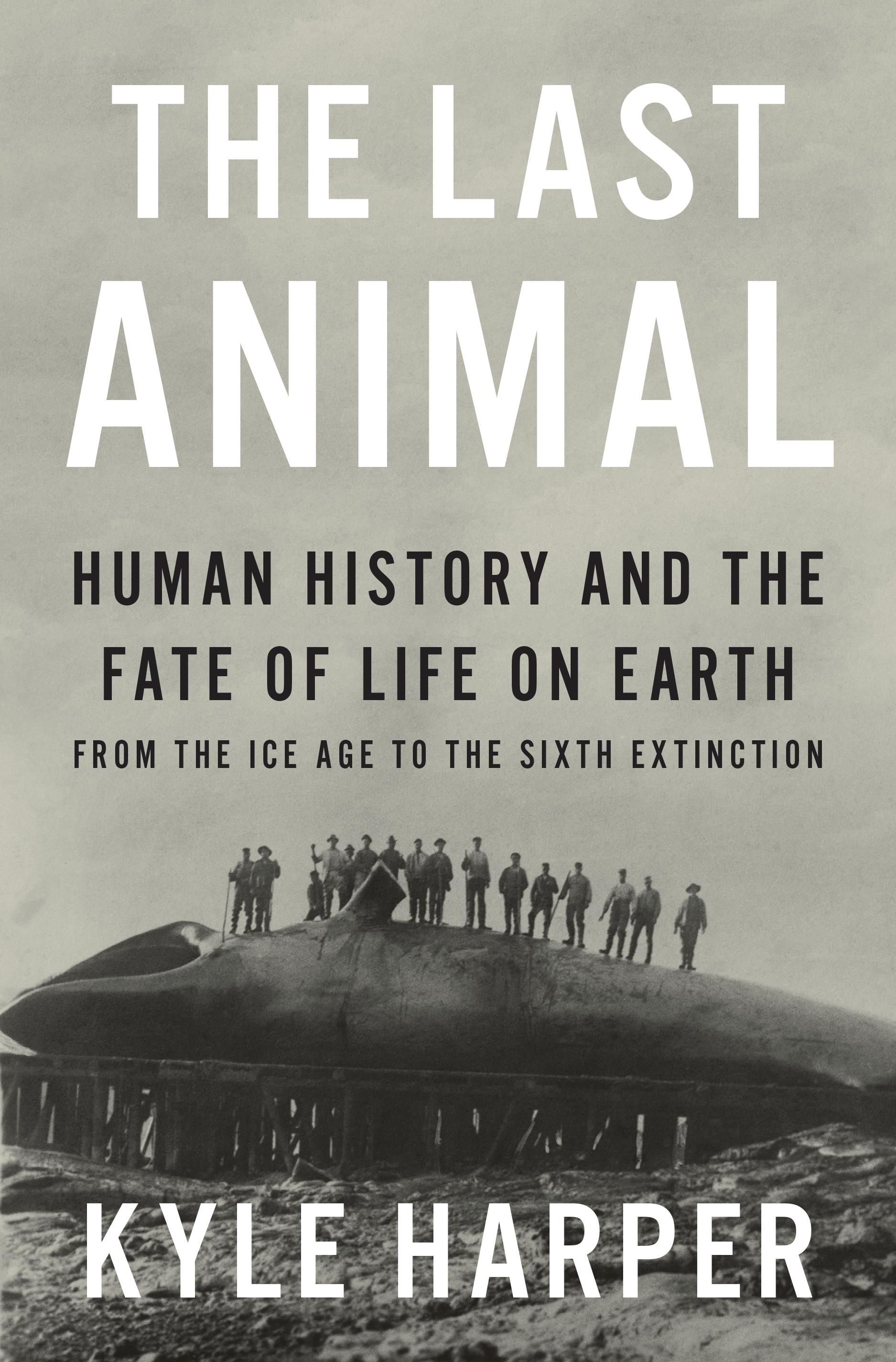 The Last Animal