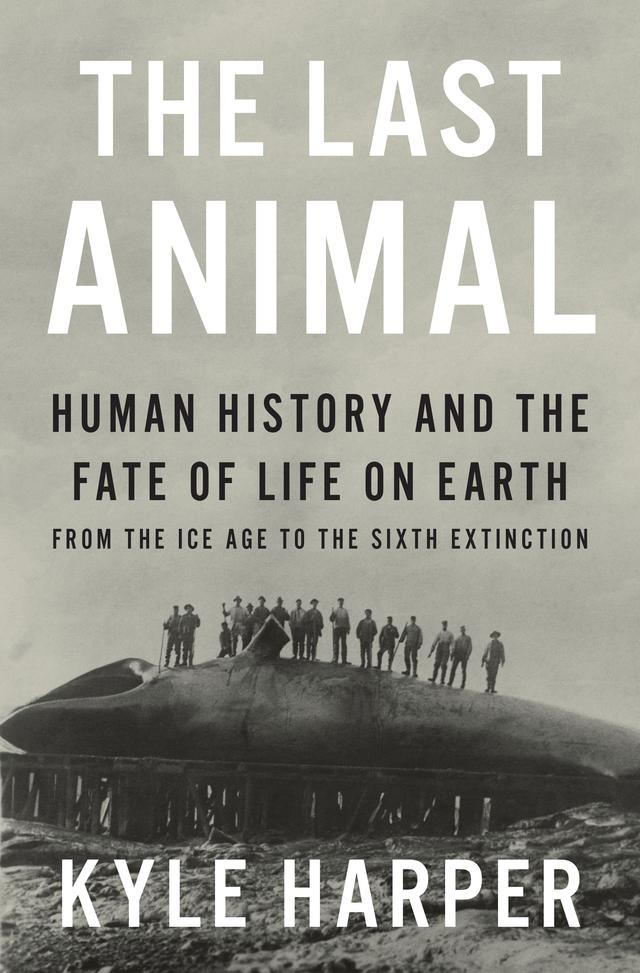 The Last Animal by Kyle Harper