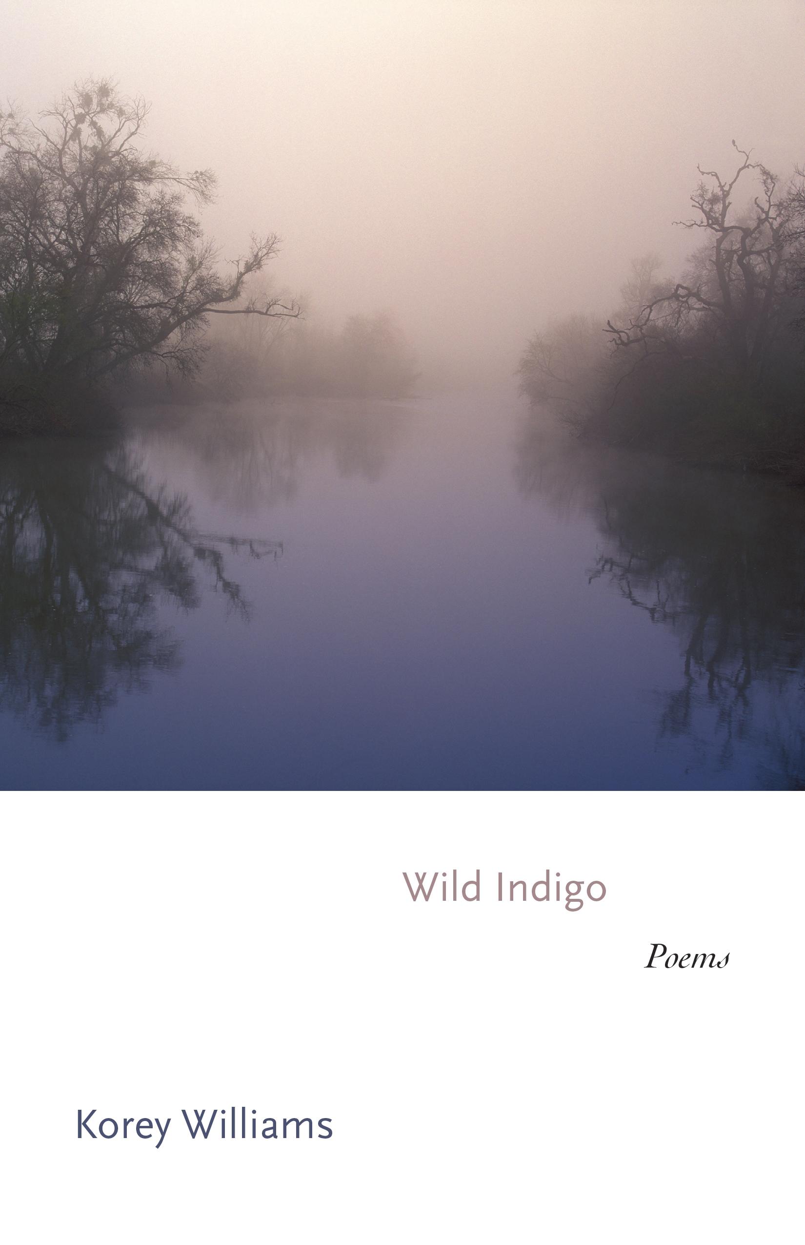 Wild Indigo