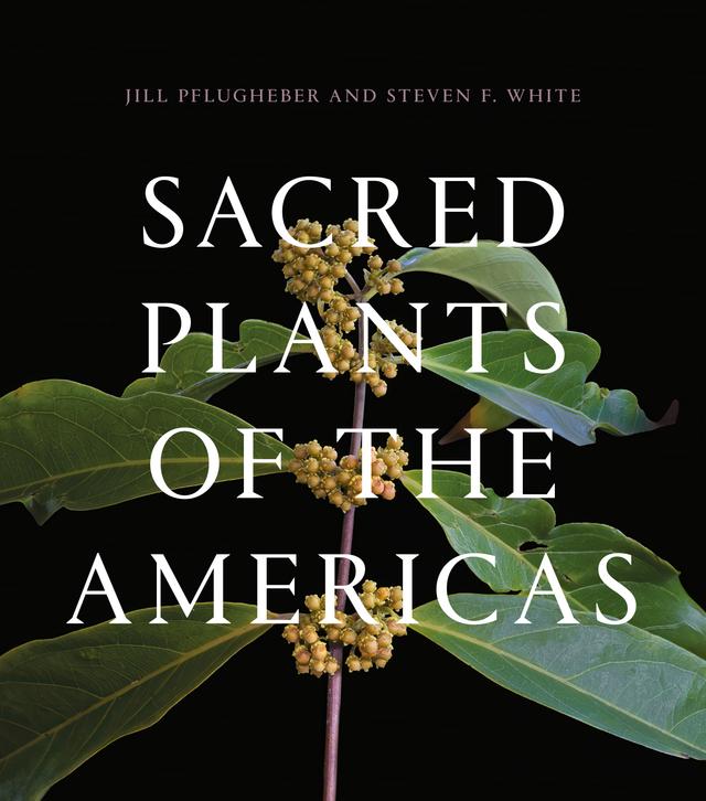 Sacred Plants of the Americas by Jill Pflugheber, Steven F White