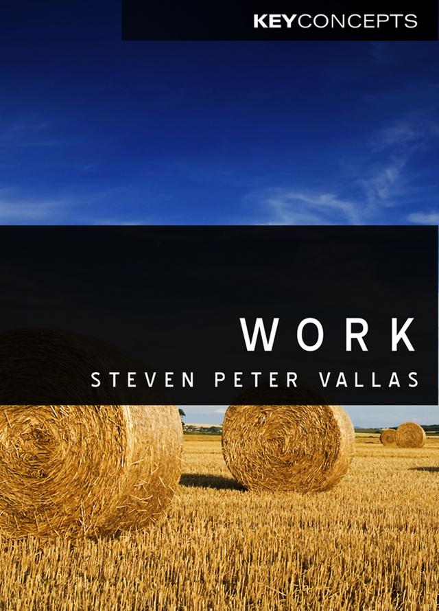 Work by Steven Vallas