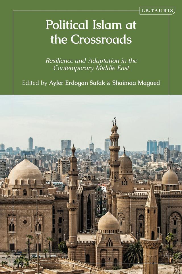 Political Islam at the Crossroads by 