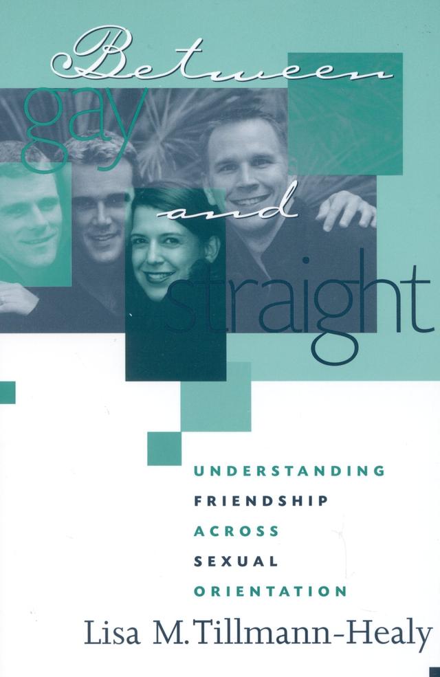 Between Gay and Straight by Lisa M. Tillmann-Healy