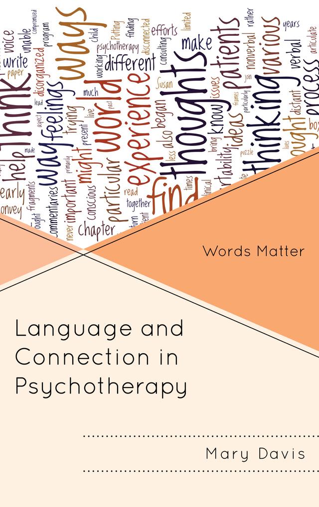 Language and Connection in Psychotherapy by Mary  H. Davis