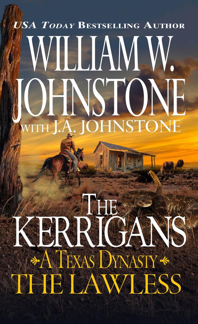 The Lawless by J.A. Johnstone, William W. Johnstone