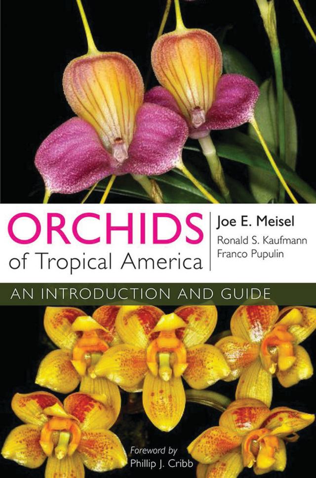 Orchids of Tropical America by Franco Pupulin, Joe E. Meisel, Phillip J. Cribb, Ronald S. Kaufmann
