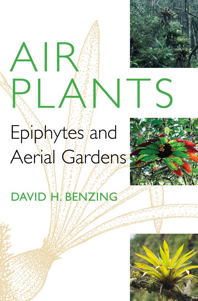 Air Plants by David H. Benzing