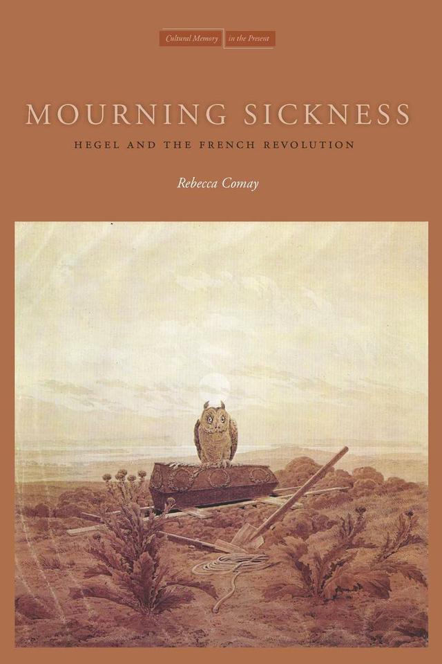 Mourning Sickness by Rebecca Comay