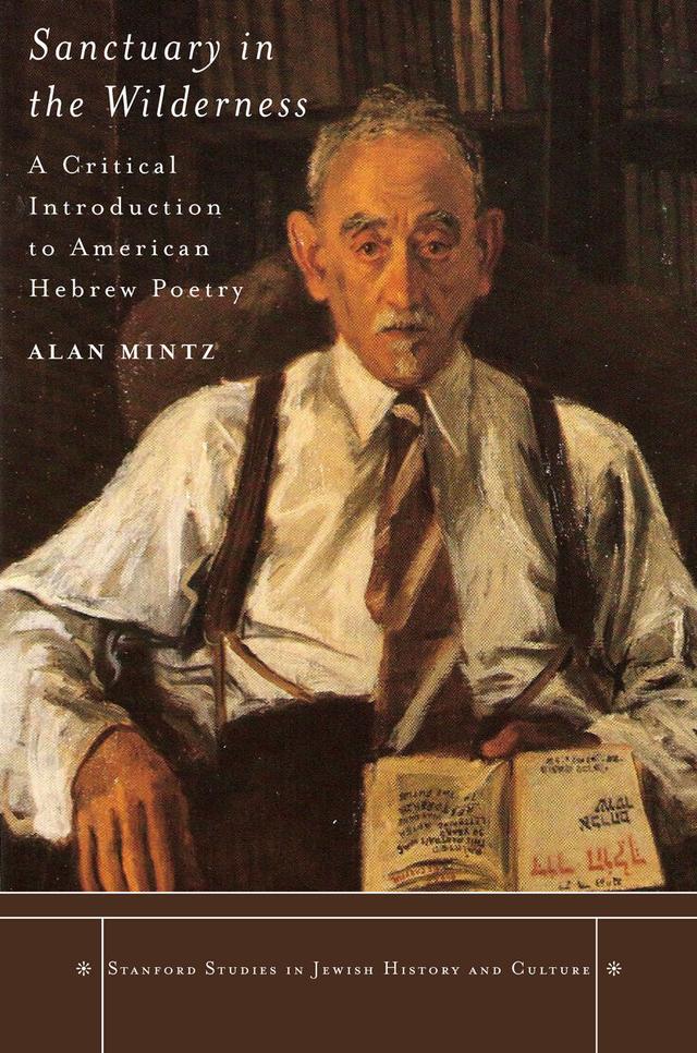 Sanctuary in the Wilderness by Alan Mintz