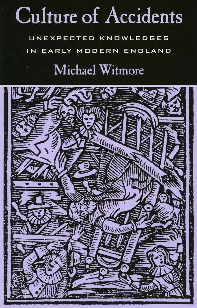 Culture of Accidents by Michael Witmore