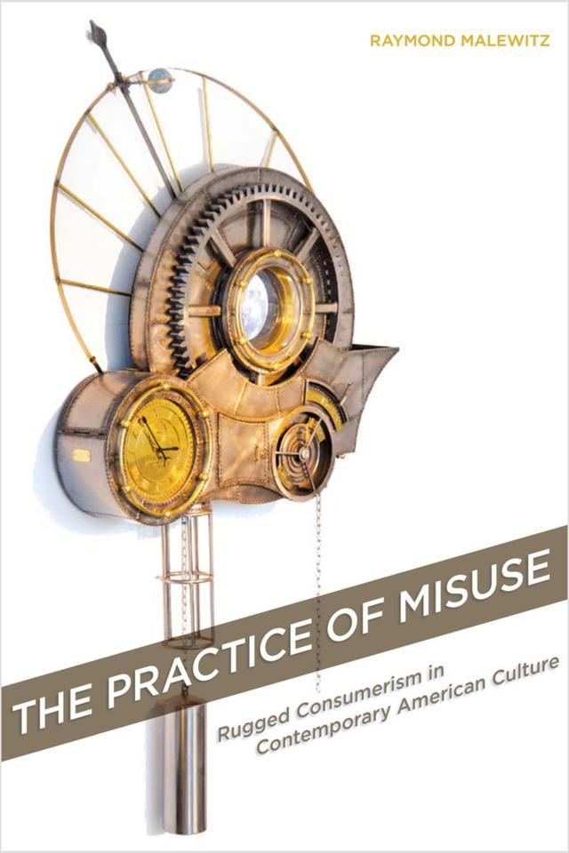 The Practice of Misuse by Raymond Malewitz