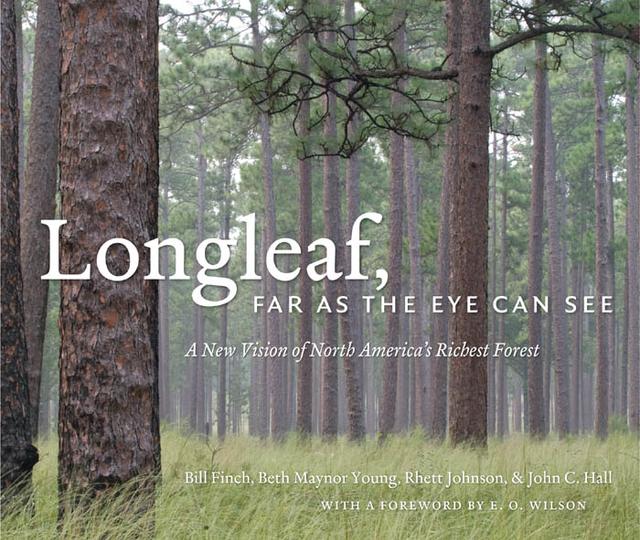 Longleaf, Far as the Eye Can See by Beth Maynor Young, Bill Finch, E. O. Wilson, John C. Hall, Rhett Johnson
