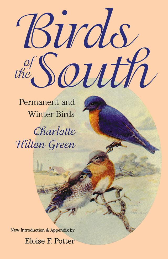 Birds of the South by Charlotte Hilton Green, Eloise F. Potter