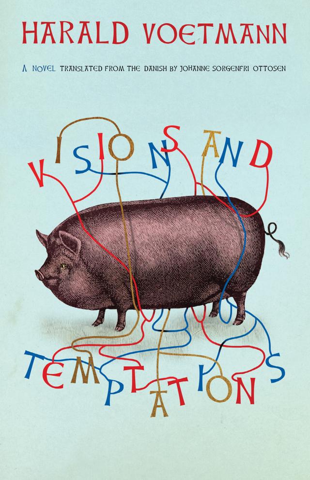 Visions and Temptations by Harald Voetmann, Johanne Sorgenfri Ottosen