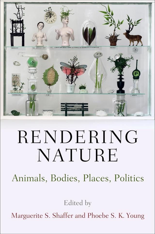 Rendering Nature by Marguerite S. Shaffer, Phoebe S. K. Young