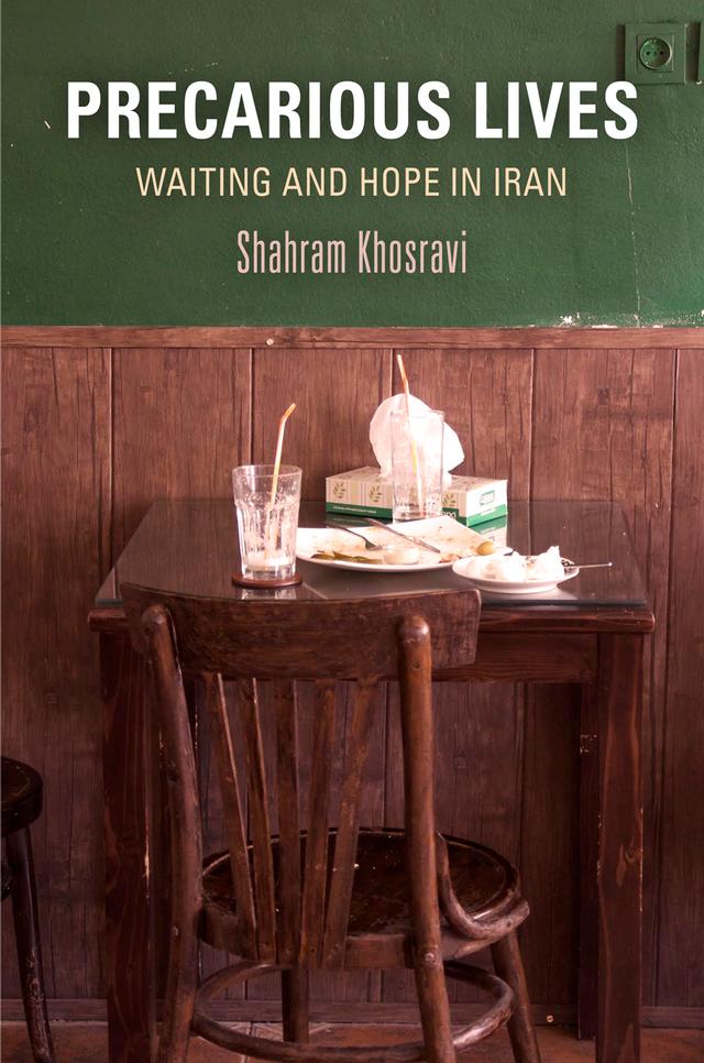 Precarious Lives by Shahram Khosravi