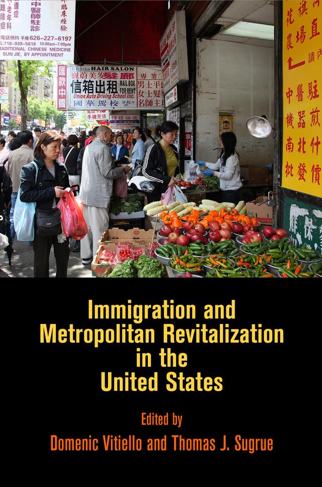 Immigration and Metropolitan Revitalization in the United States by Domenic Vitiello, Thomas J. Sugrue