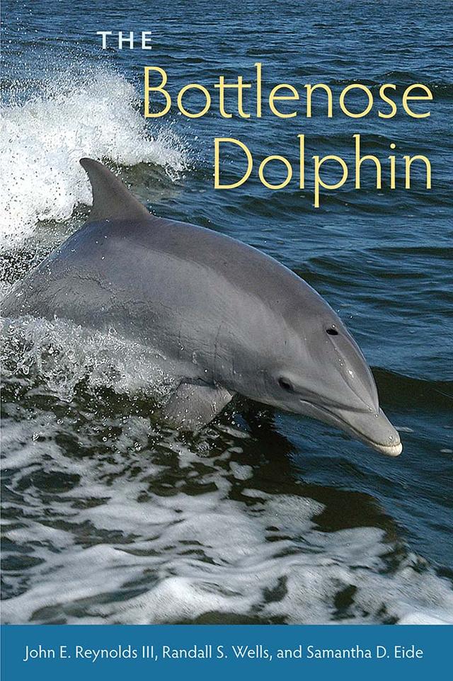 The Bottlenose Dolphin by John E. Reynolds, III, Randall S. Wells, Samantha D. Eide