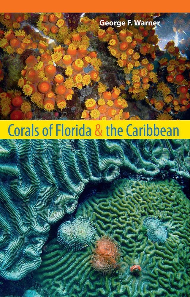 Corals of Florida and the Caribbean by George F. Warner