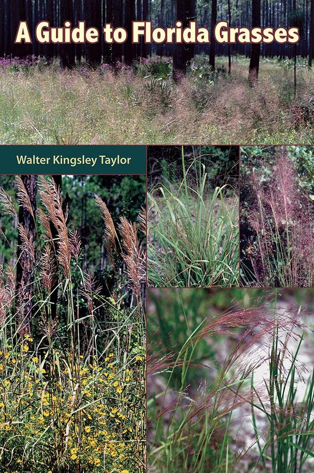 A Guide to Florida Grasses by Walter Kingsley Taylor