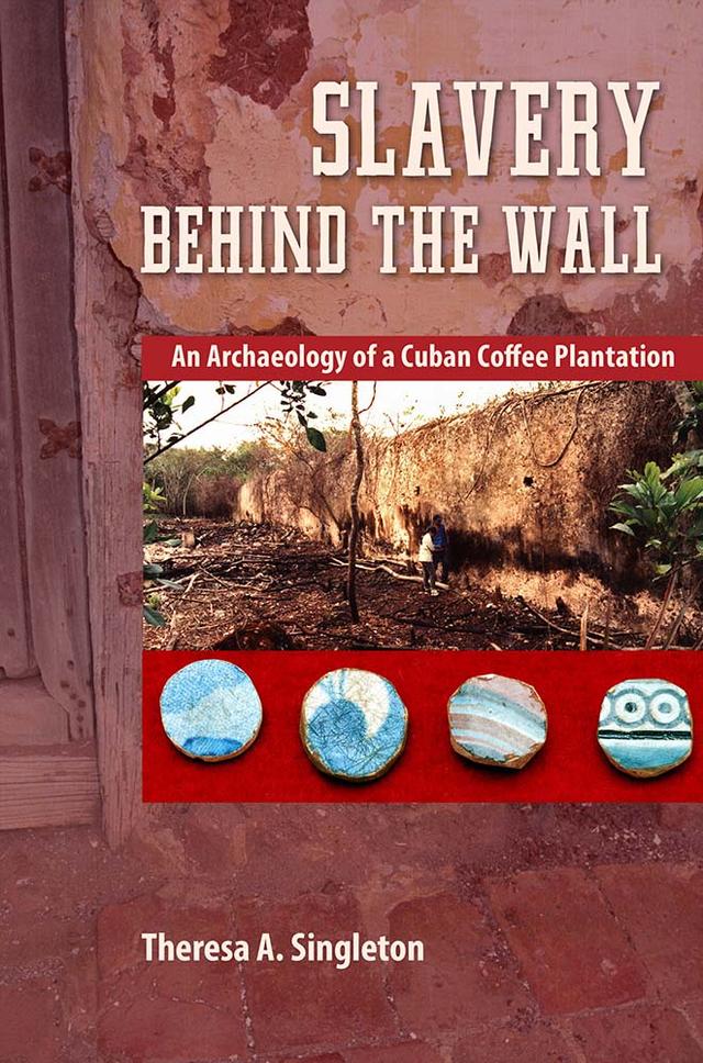 Slavery behind the Wall by Theresa A. Singleton