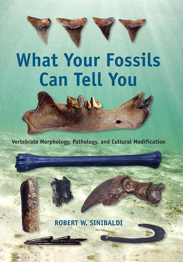 What Your Fossils Can Tell You by Robert W. Sinibaldi
