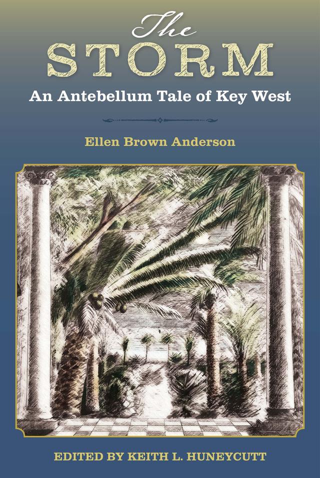 The Storm by Ellen Brown Anderson, Keith L. Huneycutt