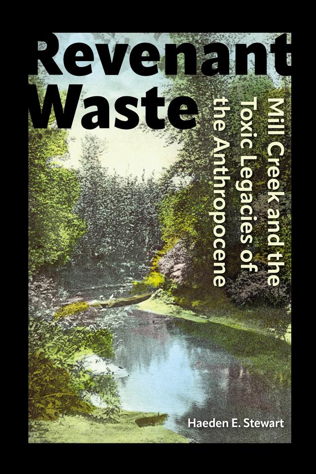 Revenant Waste by Haeden E. Stewart