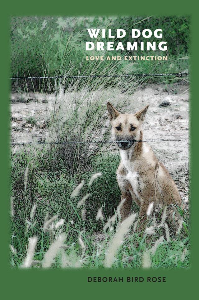 Wild Dog Dreaming by Deborah Bird Rose