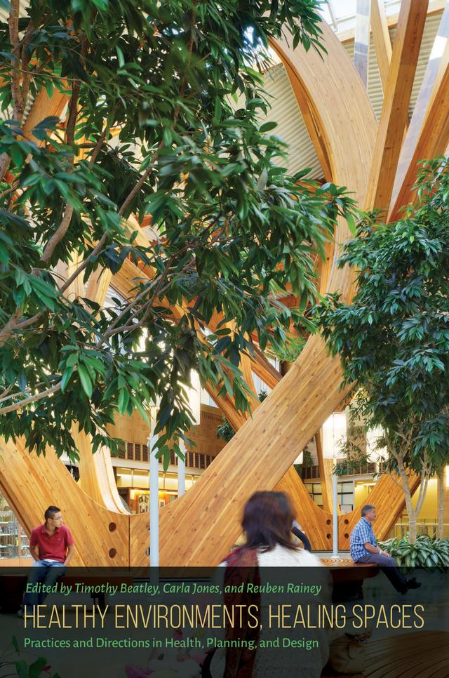 Healthy Environments, Healing Spaces by Carla L. Jones, Reuben Rainey, Timothy Beatley