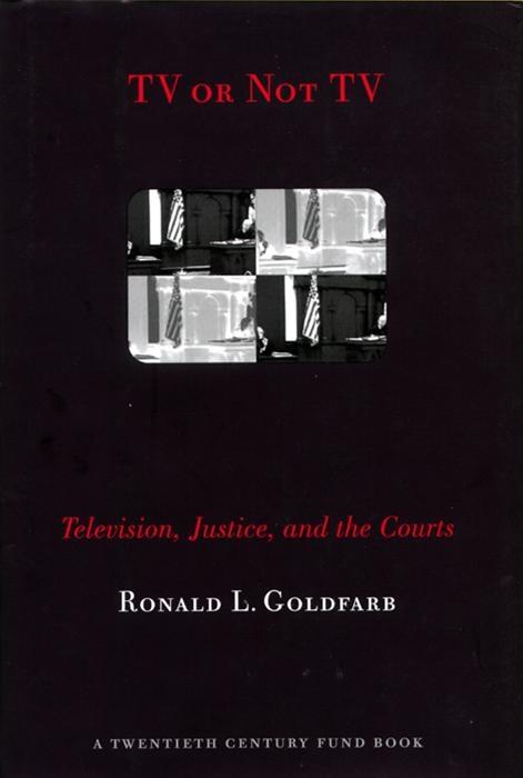 TV or Not TV by Ronald L. Goldfarb