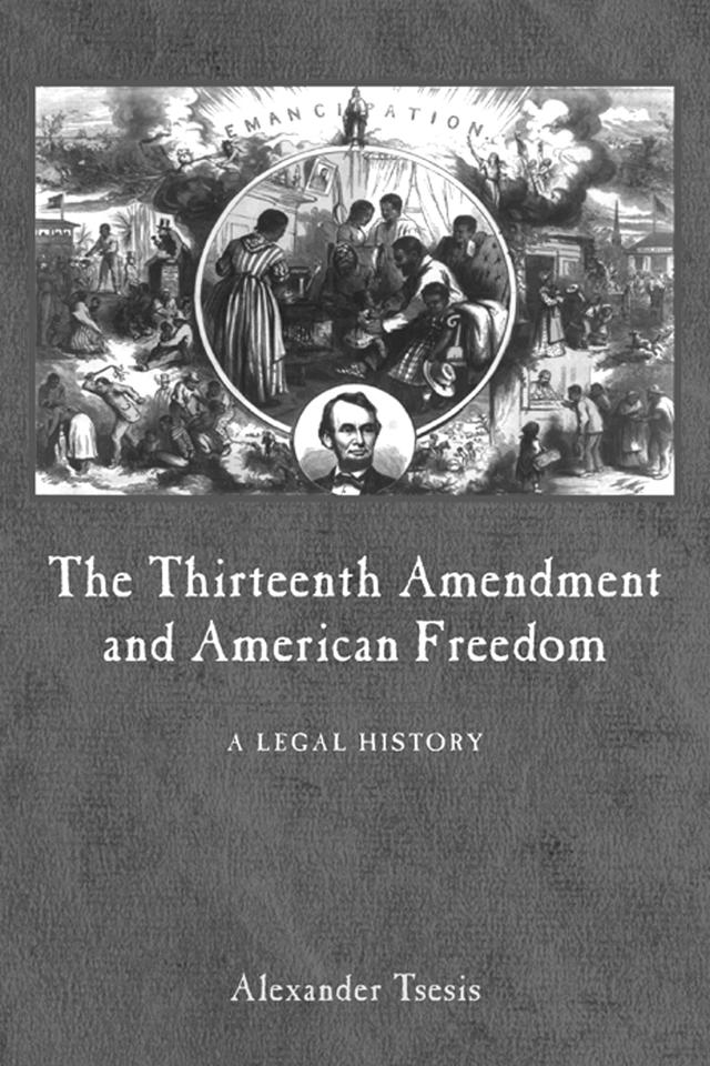 The Thirteenth Amendment and American Freedom by Alexander Tsesis