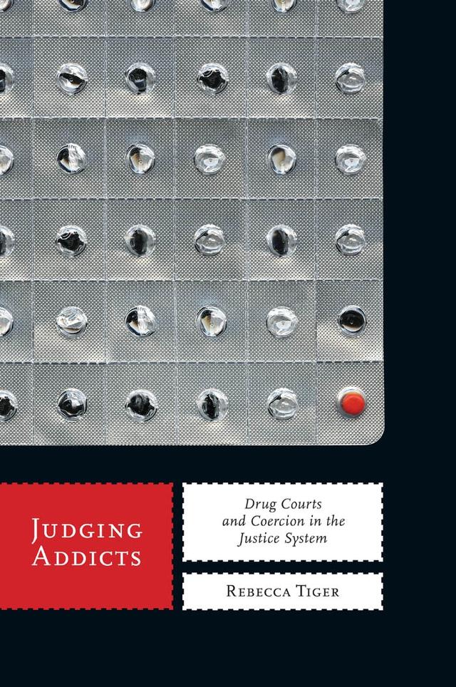 Judging Addicts by Rebecca Tiger