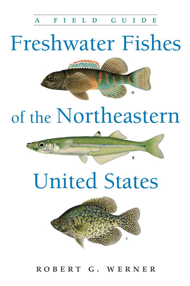 Freshwater Fishes of the Northeastern United States by Robert G. Werner