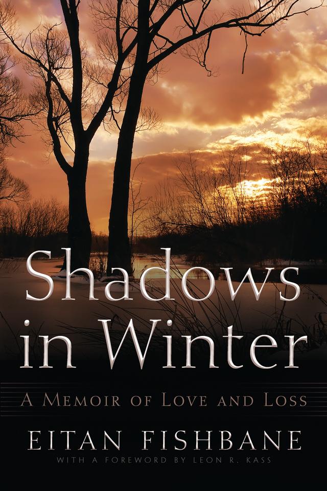 Shadows in Winter by Eitan Fishbane