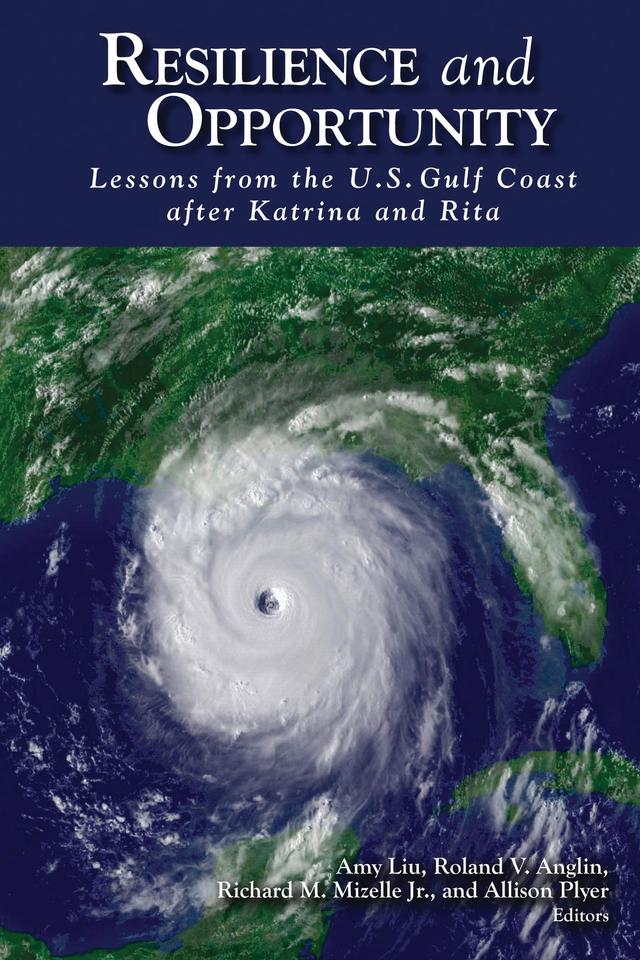 Resilience and Opportunity by 