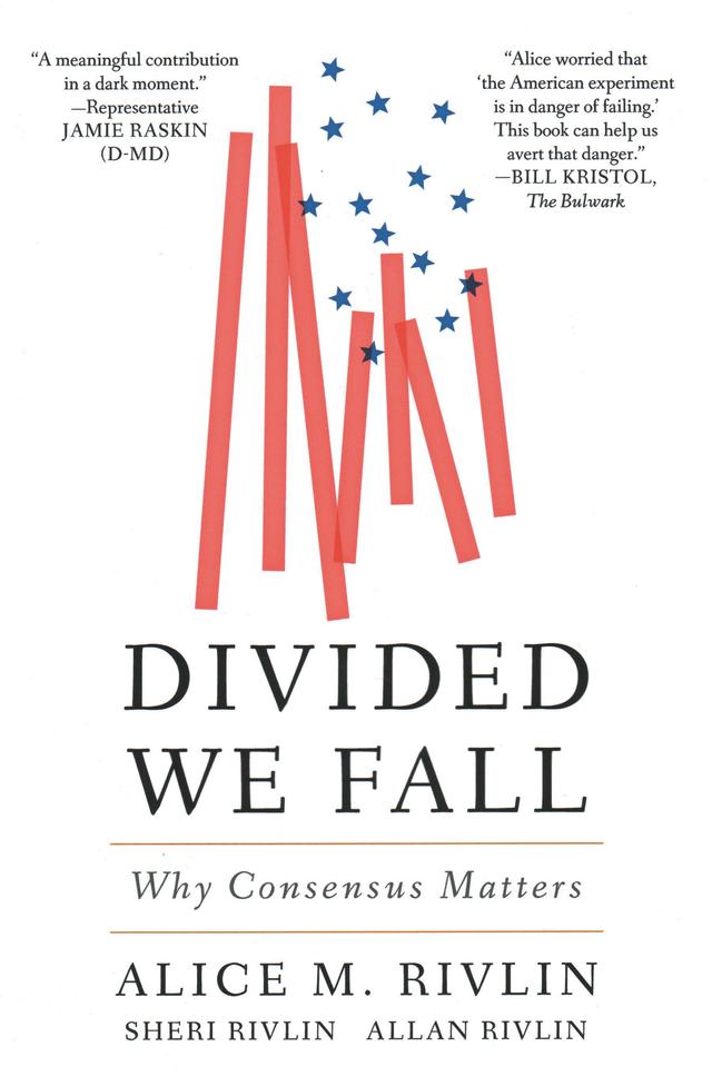 Divided We Fall by 