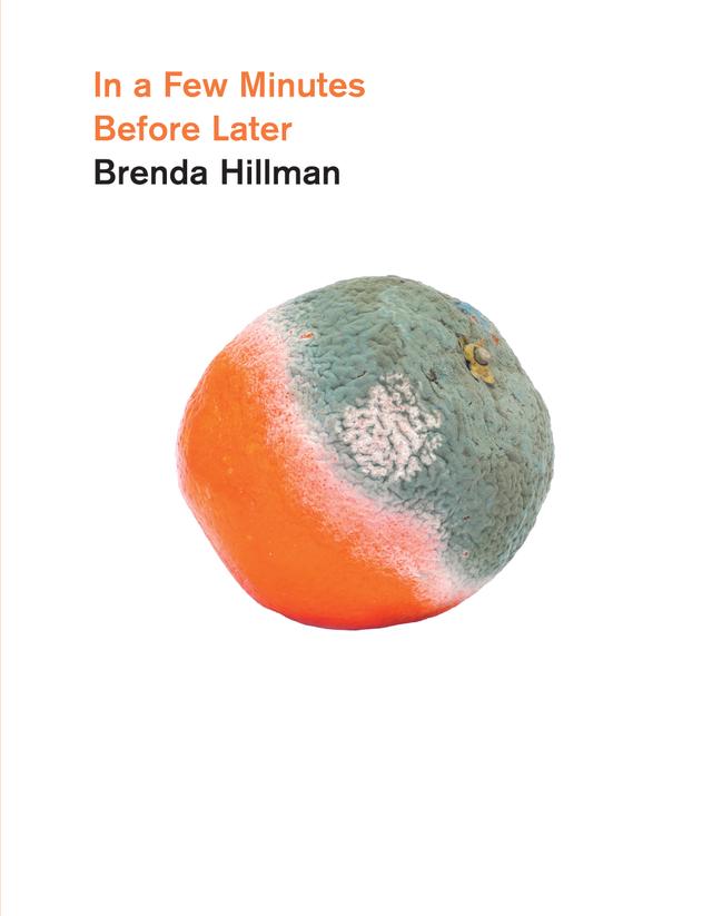 In a Few Minutes Before Later by Brenda Hillman