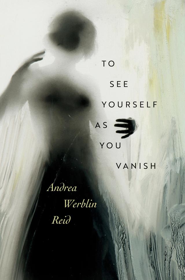 To See Yourself As You Vanish by Andrea Werblin Reid