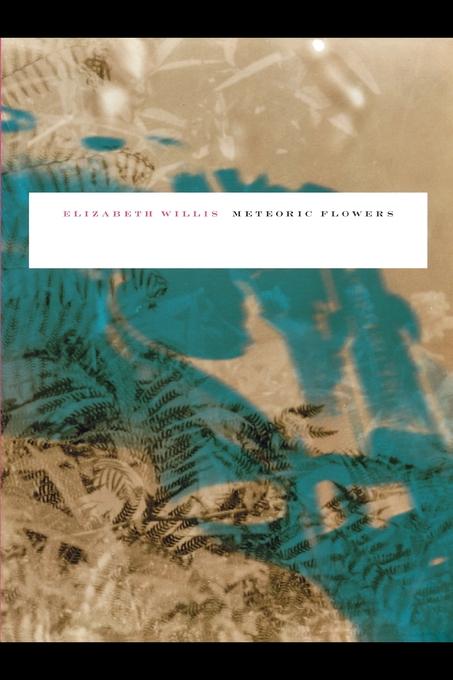 Meteoric Flowers by Elizabeth Willis