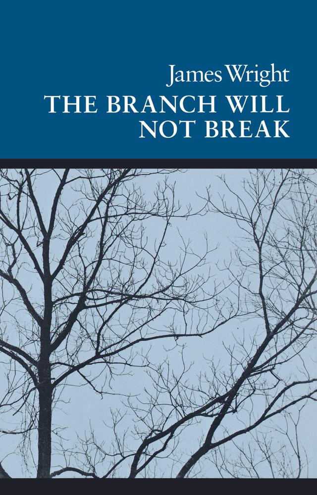 The Branch Will Not Break by James Wright