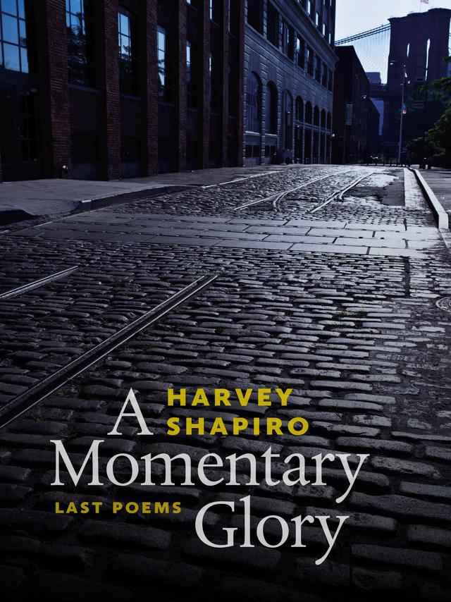 A Momentary Glory by Harvey Shapiro, Norman Finkelstein