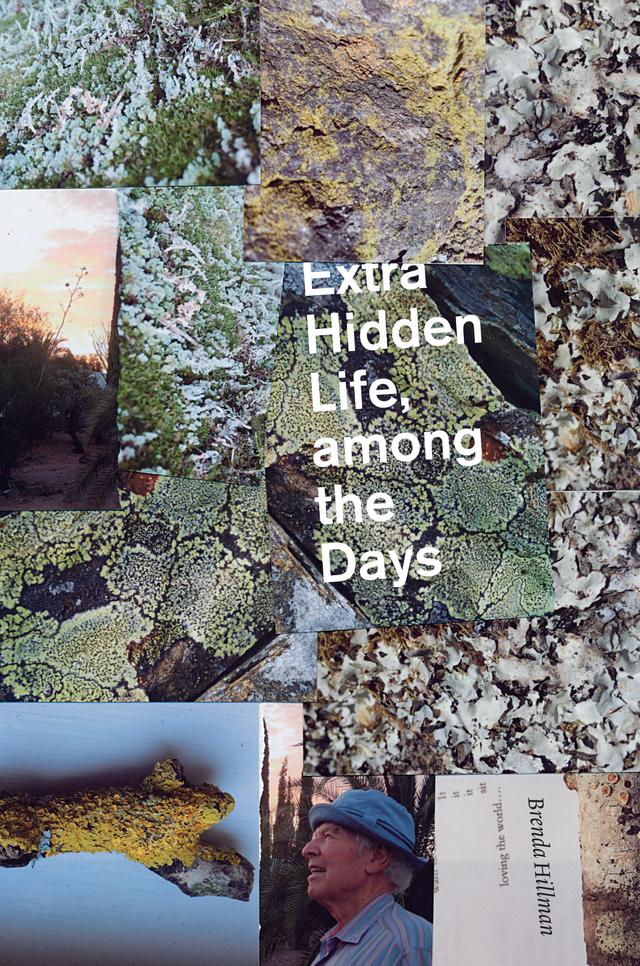 Extra Hidden Life, among the Days by Brenda Hillman