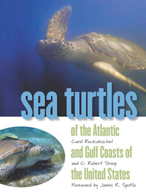 Sea Turtles of the Atlantic and Gulf Coasts of the United States by Carol Ruckdeschel, C. Robert Shoop, James R. Spotila, Meg Hoyle