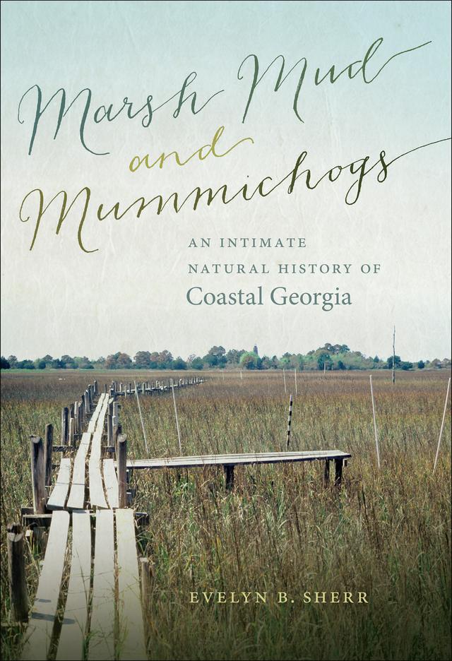 Marsh Mud and Mummichogs by Evelyn B. Sherr